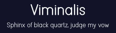 Viminalis by Eko Samp — Sans Serif Font — thumbnail 2