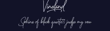 Vineland by Calligraphy Fonts — Script Handwritten Font — thumbnail 2