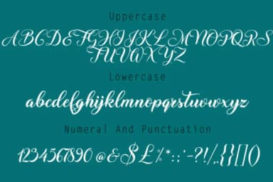 Vintage Font by Rudistudio — Script Handwritten Font — thumbnail 6