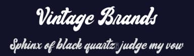 Vintage Brands by Fontherapy — Script Handwritten Font — thumbnail 2