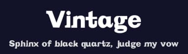 Vintage by Flavia Bocco — Sans Serif Font — thumbnail 2