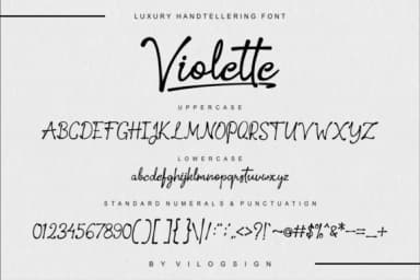 Violette Font by Vilogsign — Script Handwritten Font — thumbnail 6