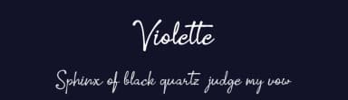 Violette by vilogsign — Script Handwritten Font — thumbnail 2