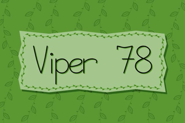 Viper 78 Font by viper78 — Script Handwritten Font