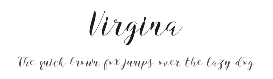 Virgina by Niki Studio — Script Handwritten Font — preview 1