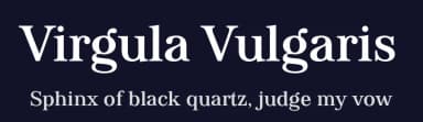 Virgula Vulgaris by Levi Szekeres — Serif Font — thumbnail 2