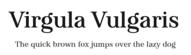 Virgula Vulgaris by Levi Szekeres — Serif Font — thumbnail 1