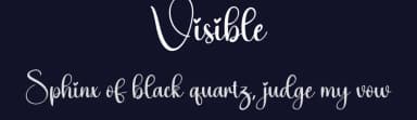 Visible by Scratchones — Script Handwritten Font — thumbnail 2