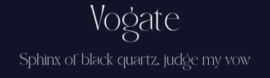Vogate by ToniStudio — Serif Font — thumbnail 2