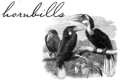 Volstead Font by Intellecta Design — Script Handwritten Font — thumbnail 2