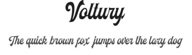 Voltury by Angin Studio — Script Handwritten Font — thumbnail 1
