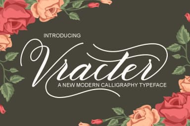 Vracter Font by Polem — Script Handwritten Font — thumbnail 1