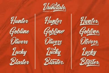 Vrindals Script Font by PointLab — Script Handwritten Font — thumbnail 3