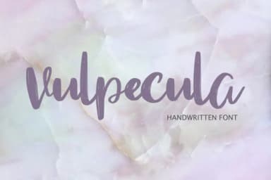 Vulpecula Font by Masha Artifex — Script Handwritten Font — thumbnail 1
