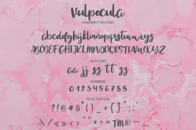 Vulpecula Font by Masha Artifex — Script Handwritten Font — thumbnail 7