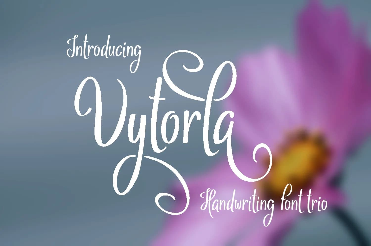 Vytorla Font by Digital Typeface Studio — Script Handwritten Font