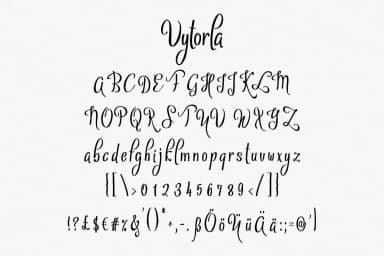 Vytorla Font by Digital Typeface Studio — Script Handwritten Font — thumbnail 3