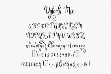 Vytorla Font by Digital Typeface Studio — Script Handwritten Font — thumbnail 4