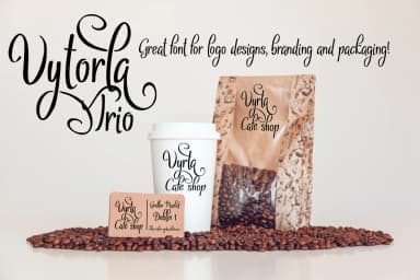 Vytorla Font by Digital Typeface Studio — Script Handwritten Font — thumbnail 6