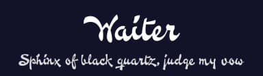 Waiter by Måns Grebäck — Script Handwritten Font — thumbnail 2