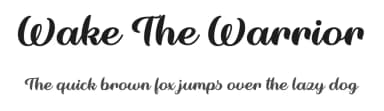 Wake The Warrior by Misti's Fonts — Script Handwritten Font — thumbnail 1