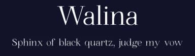 Walina by Adrián  Yanes — Serif Font — thumbnail 2