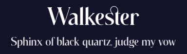 Walkester by BrandSemut — Serif Font — thumbnail 2