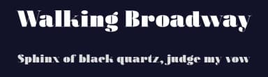 Walking Broadway by Ikiiko Type — Serif Font — thumbnail 2