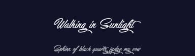 Walking in Sunlight by Octotype  | Thomas Boucherie — Script Handwritten Font — thumbnail 2