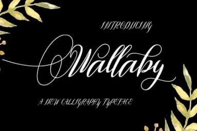 Wallaby Font by Danti — Script Handwritten Font — thumbnail 1