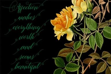 Wallaby Font by Danti — Script Handwritten Font — thumbnail 3