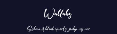 Wallaby by Vztype Studio — Script Handwritten Font — thumbnail 2