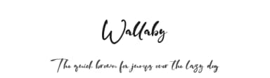Wallaby by Vztype Studio — Script Handwritten Font — thumbnail 1