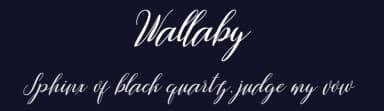 Wallaby by Danti — Script Handwritten Font — thumbnail 2