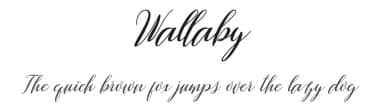 Wallaby by Danti — Script Handwritten Font — thumbnail 1