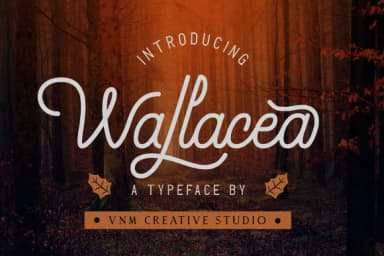 Wallacea Font by VNM Creative Studio — Script Handwritten Font — thumbnail 1