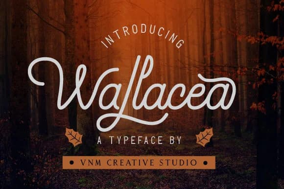 Wallacea Font by VNM Creative Studio — Script Handwritten Font