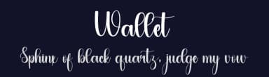 Wallet by PiPi Creative STUDIO — Script Handwritten Font — thumbnail 2