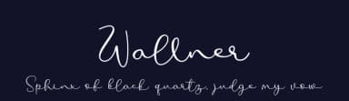 Wallner by Letterafa Studio — Script Handwritten Font — thumbnail 2