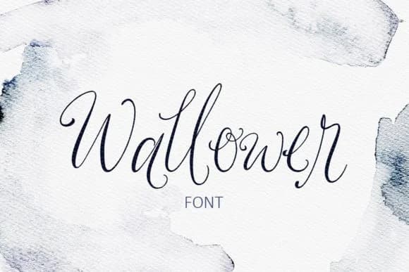 Wallower Font by Creativeqube Design — Script Handwritten Font