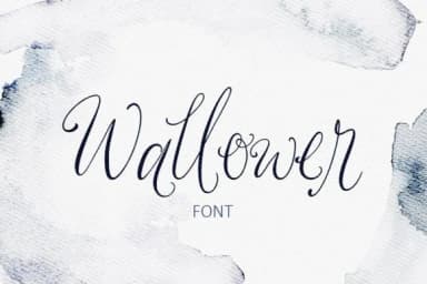 Wallower Font by Creativeqube Design — Script Handwritten Font — thumbnail 1