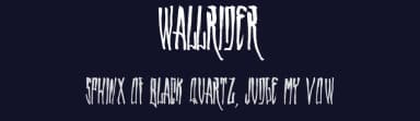 Wallrider by Billy Argel Fonts ® — Script Handwritten Font — thumbnail 2