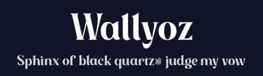Wallyoz by twinletter — Serif Font — thumbnail 2