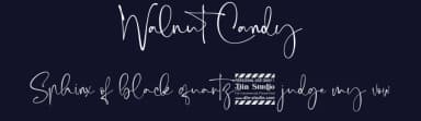 Walnut Candy by Din Studio — Script Handwritten Font — thumbnail 2