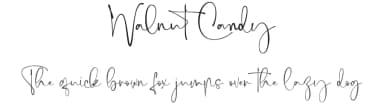 Walnut Candy by Din Studio — Script Handwritten Font — thumbnail 1