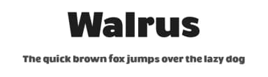 Walrus by Studio Dot by dot — Sans Serif Font — thumbnail 1