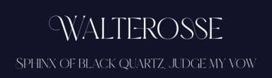Walterosse by Almarkhatype — Serif Font — thumbnail 2