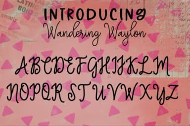 Wandering Waylon Font by tabitha_beam — Script Handwritten Font — thumbnail 2