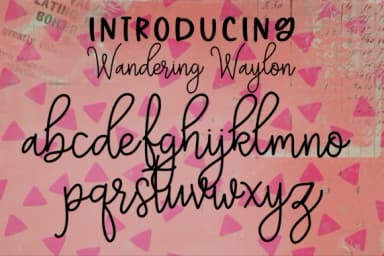 Wandering Waylon Font by tabitha_beam — Script Handwritten Font — thumbnail 3