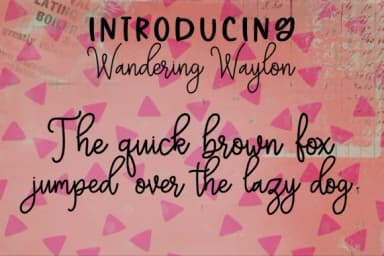 Wandering Waylon Font by tabitha_beam — Script Handwritten Font — thumbnail 4